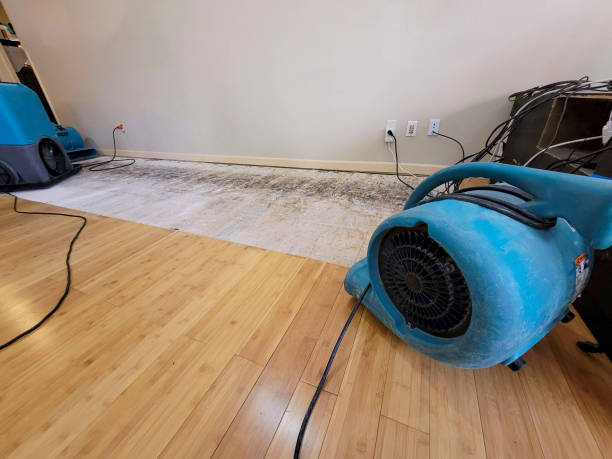 Professional Water Damage Repair technician working in Douglas, AL
